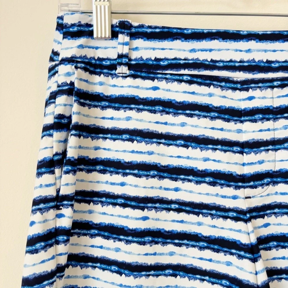Spanx Blue Striped Sunshine Swim Shorts Small - Picture 3 of 6